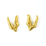 Fox Premolar Teeth Earrings