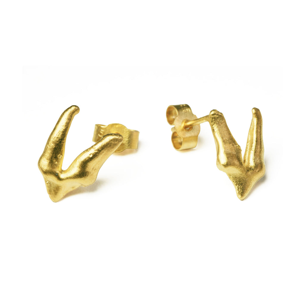 Fox Premolar Teeth Earrings