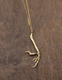 Bird Claw Pendant